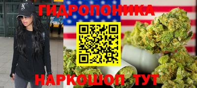 СК Дмитров