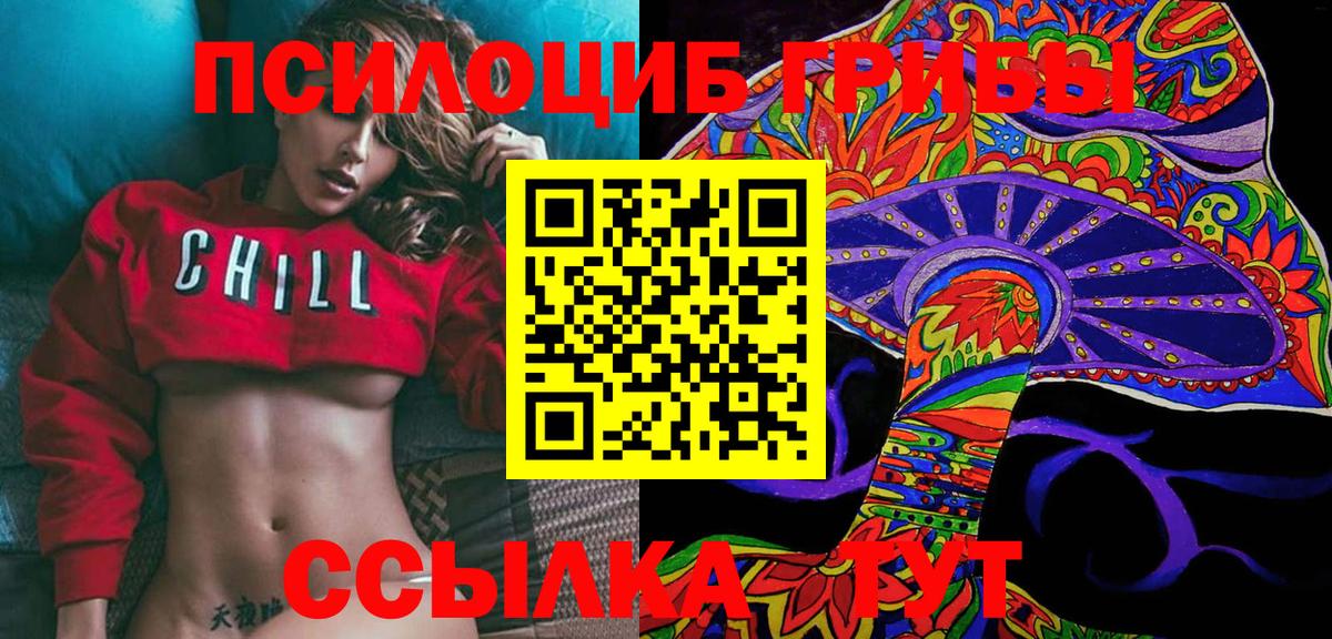 Вольск  Псилоцибиновые грибы мухоморы  Вход с VPN 